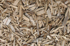 biomass boilers Penmorfa